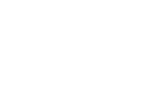 bomoifondation
