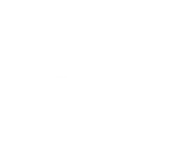 bomoifondation